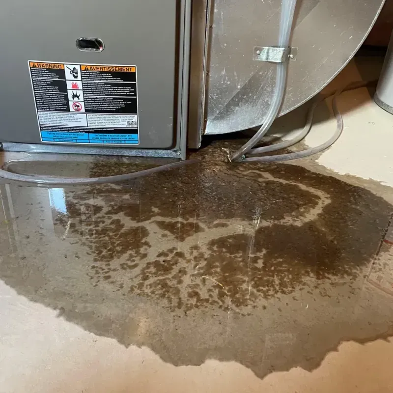 Appliance Leak Cleanup in Anderson, MO